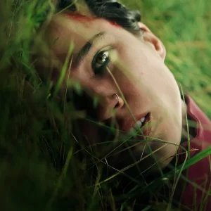‘Beetlejuice Beetlejuice’ and ‘Transformers One’ Share Top VOD Spots, Netflix Original ‘Don’t Move’ Scores